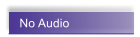 No Audio
